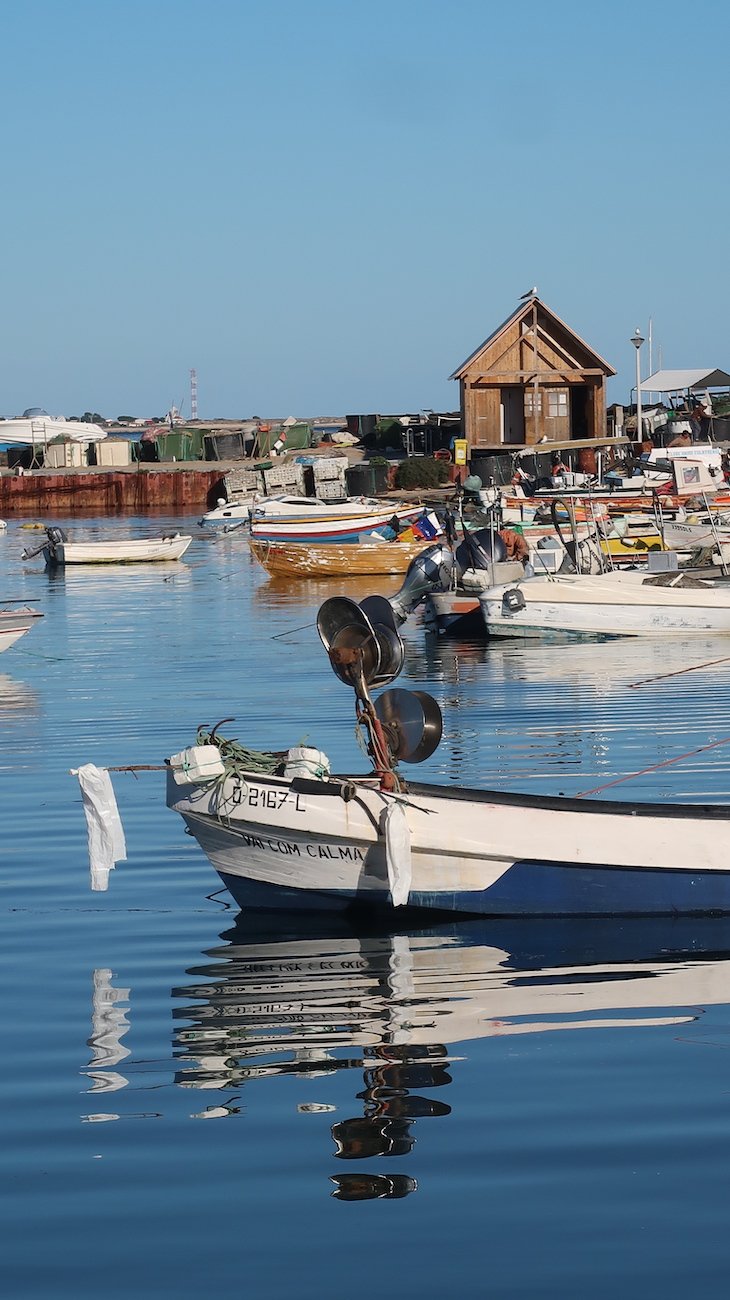 "Vai com Calma" - Na Ilha da Culatra - Algarve - Portugal © Viaje Comigo