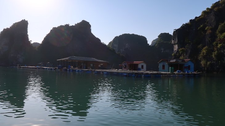 Casas de Vung Vieng -Baia de Ha Long - Halong Bay - Vietname © Viaje Comigo