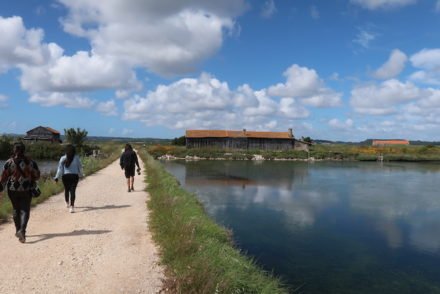 Nas salinas da Figueira da Foz © Viaje Comigo