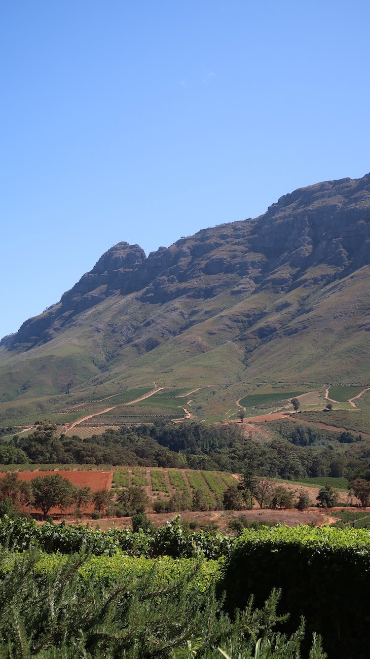 Vista para a montanha, em Franschhoek - África do Sul © Viaje Comigo
