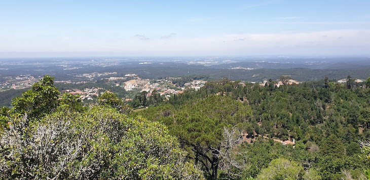 Vista do Miradouro - Mata Nacional do Bussaco - Portugal © Viaje Comigo