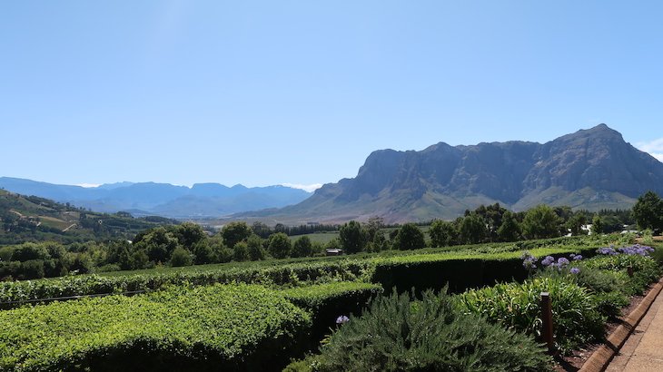 Vista para a montanha, em Franschhoek - África do Sul © Viaje Comigo