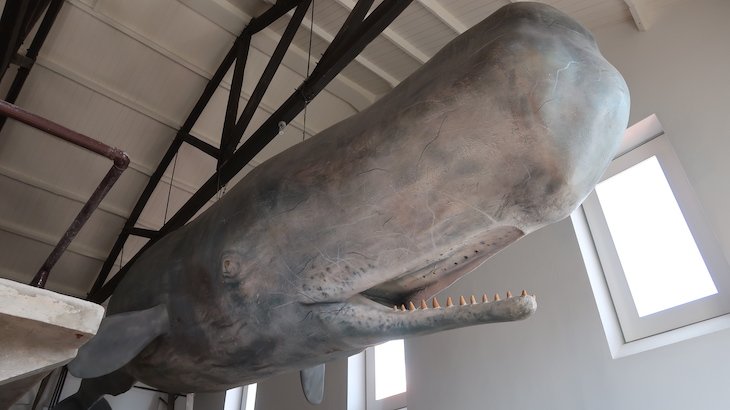 Museu da Fábrica da Baleia de Porto Pim - Faial - Açores - Portugal © Viaje Comigo