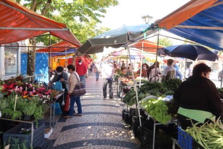 Flores Praça da Fruta - Caldas da Rainha - Portugal © Viaje Comigo