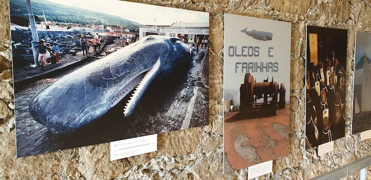 Museu da Fábrica da Baleia de Porto Pim - Faial - Açores - Portugal © Viaje Comigo