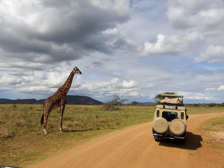 Safaris na Tanzânia © Fotografia de Vitor Silva