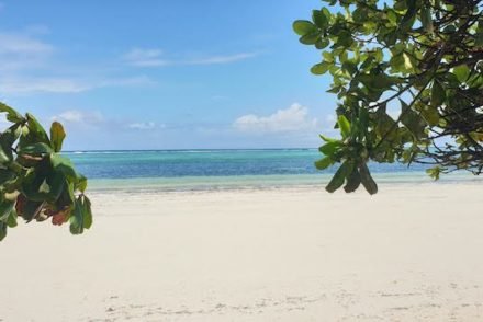 Matemwe Beach - Zanzibar - Tanzânia © Viaje Comigo