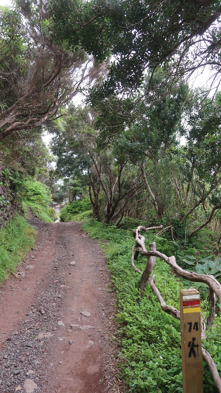 Trilho da Caldeira Santo Cristo, São Jorge - Açores © Viaje Comigo