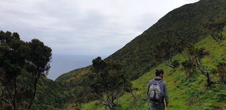 Serra do Topo, São Jorge - Açores © Viaje Comigo