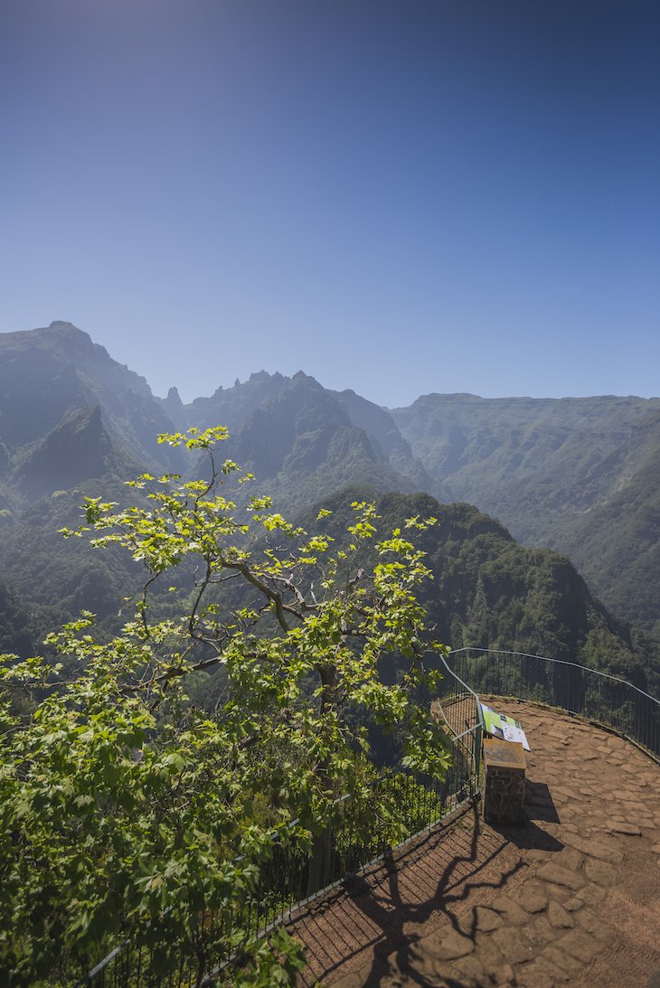 Vereda dos Balcões, Milha da Madeira, Portugal ©Foto: Francisco Correia