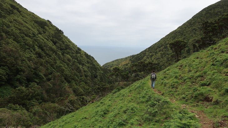 Trilhos na ilha de São Jorge - Açores © Viaje Comigo