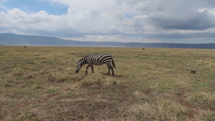 Parque Natural Ngorongoro - Tanzânia © Viaje Comigo