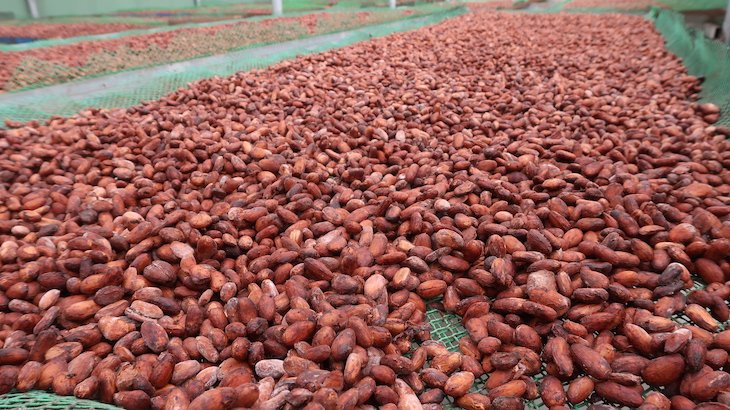 Fábrica de Chocolate - Passeio no Delta do Mekong - Vietname © Viaje Comigo