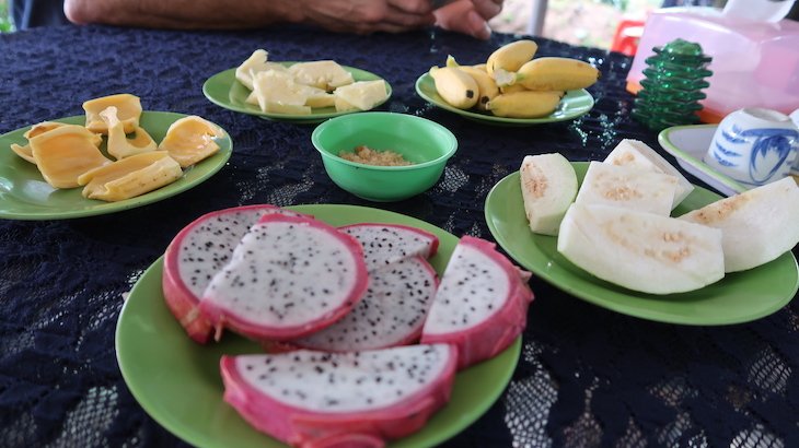 Prova de frutas no Teatro no Passeio no Delta do Mekong - Vietname © Viaje Comigo