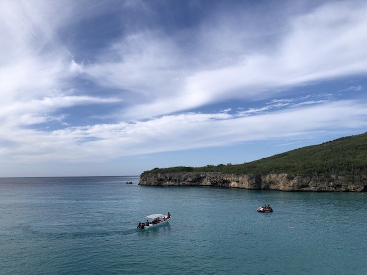 Curaçao kenepa grandi © Viaje Comigo