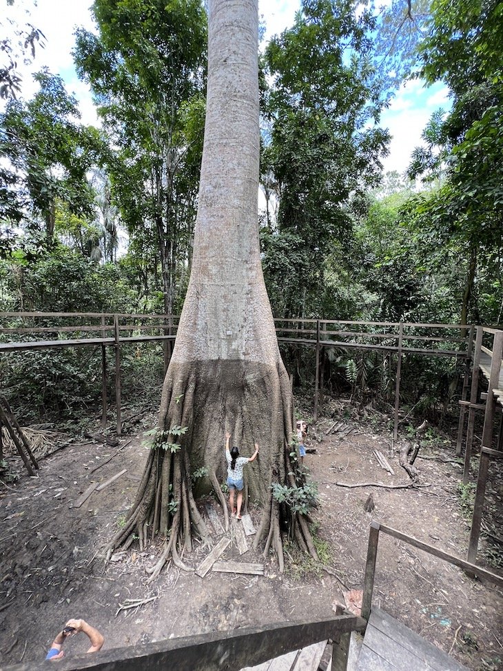 Parque Ecológico Janauary - Iguana Day Tour - Amazonas - Brasil © Viaje Comigo