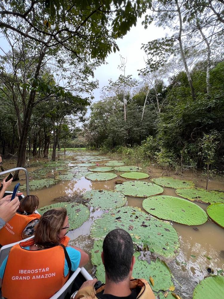 Excursão Iberostar Heritage Grand Amazon, Amazónia, Brasil © Viaje Comigo