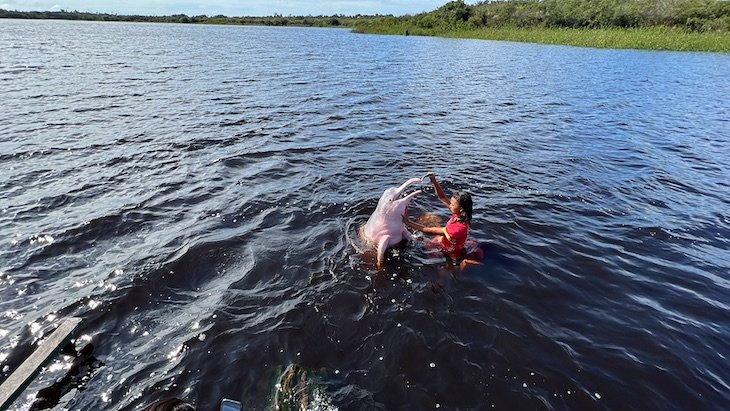 Botos rosa - Iguana Day Tour - Amazonas - Brasil © Viaje Comigo