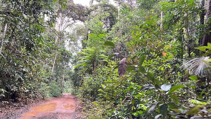estrada para Mutum - Presidente Figueiredo - Amazonas - Brasil © Viaje Comigo