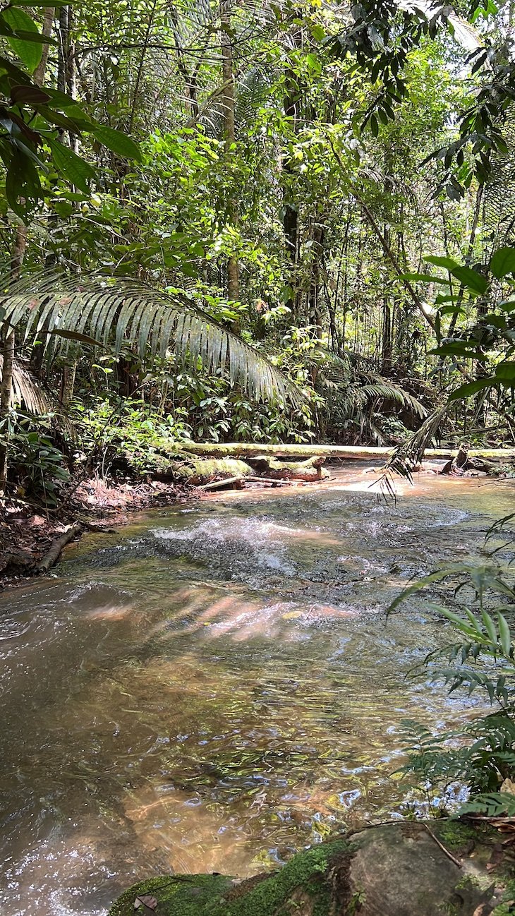 Pedra Furada - Presidente Figueiredo - Amazonas - Brasil © Viaje Comigo
