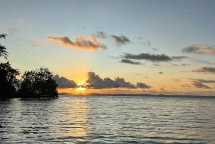 Ilha das Vacas - Salvador - Bahia - Brasil © Viaje Comigo.