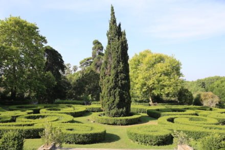 Jardim Botânico Tropical da Universidade de Lisboa