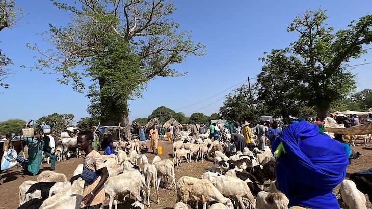 Mercado Ngueniane / Nguéniène - Senegal © Viaje Comigo