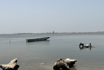 Sine Saloum - Senegal © Viaje Comigo