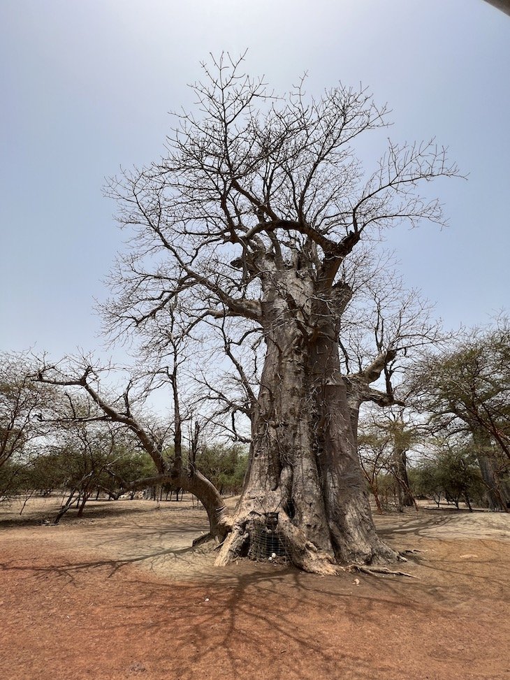 Tombe de Griots - Safari Wildlife Reserve Bandia - Senegal © Viaje Comigo