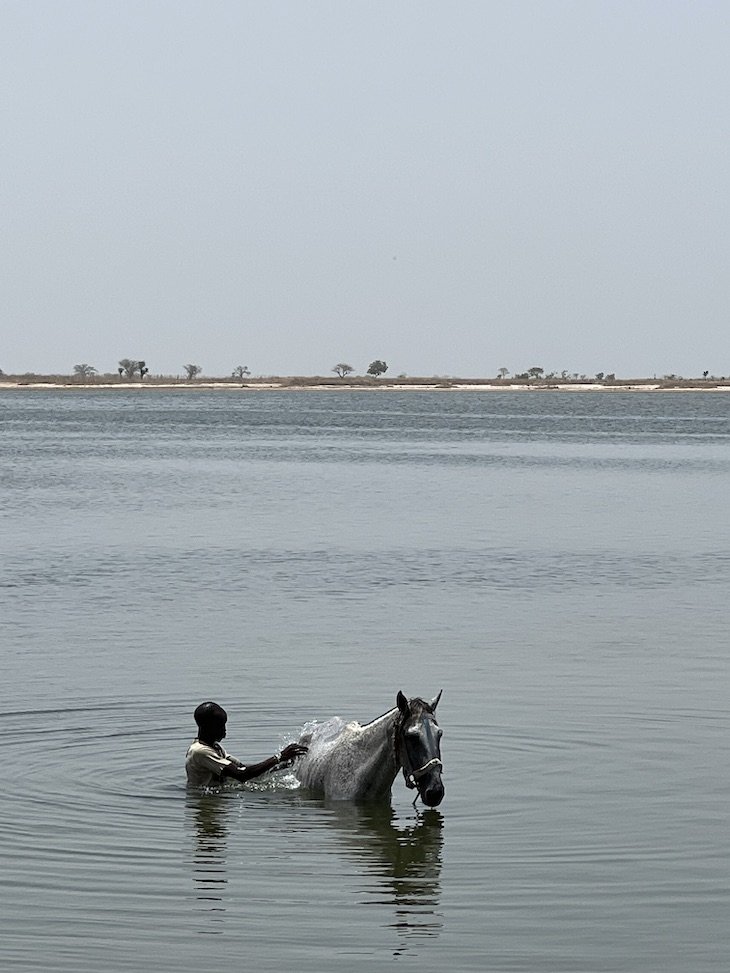 Simal, Saloum - Senegal © Viaje Comigo