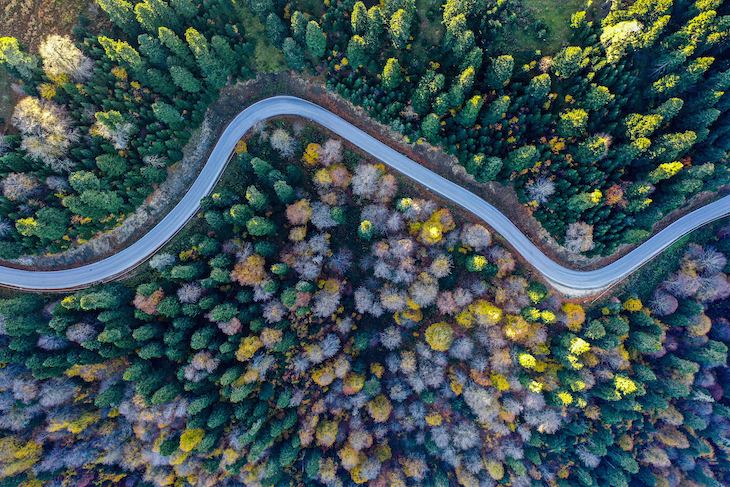 Bolu, Yedigöller Nature Park © Turquia