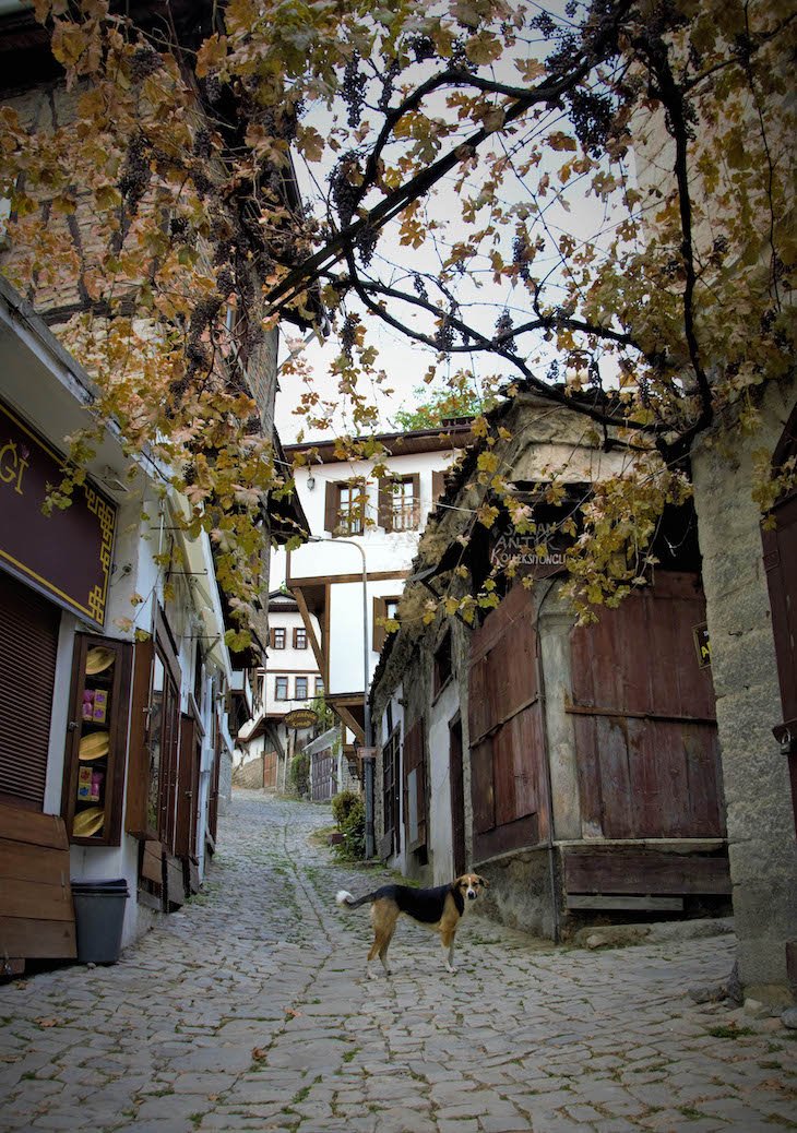 Karabuk, Safranbolu © Turquia