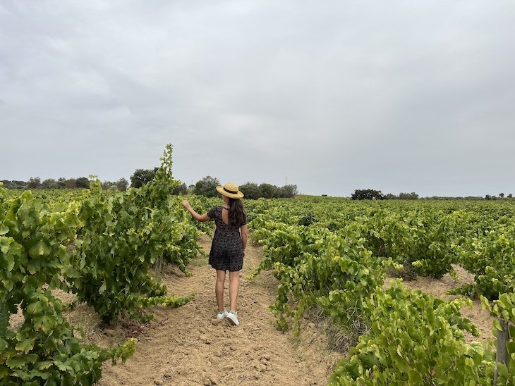 Vinhas Velhas - Herdade do Rocim - Alentejo - Porugal © Viaje Comigo