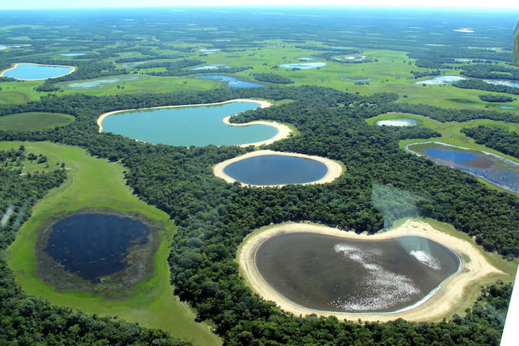 Vista aérea da natureza do Pantanal © DR Shutterstock-Lucas-Leuzinger