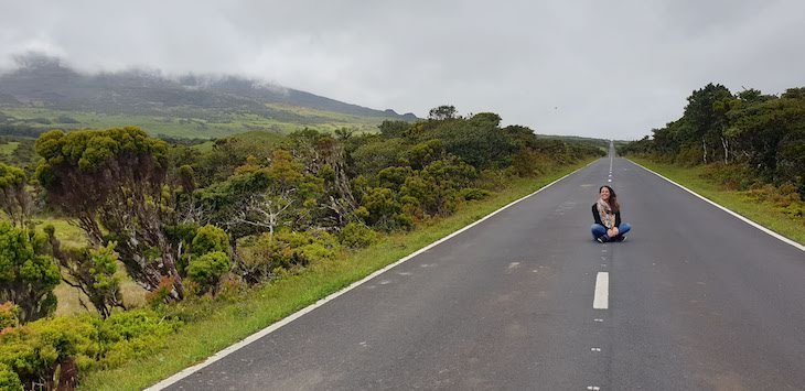 Na estrada - Ilha do Pico - Açores © Viaje Comigo