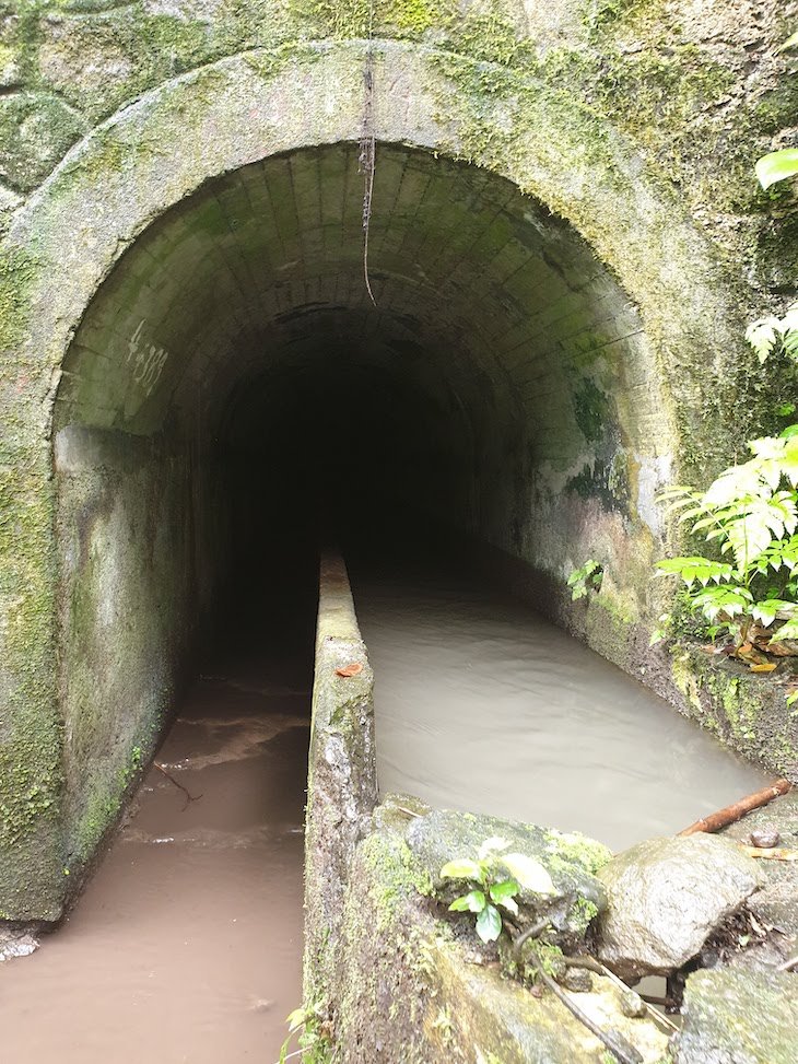 Túneis do Parque Natural Obô - São Tomé e Príncipe © Viaje Comigo