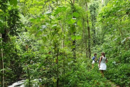 Parque Natural Obô - São Tomé e Príncipe © Viaje Comigo