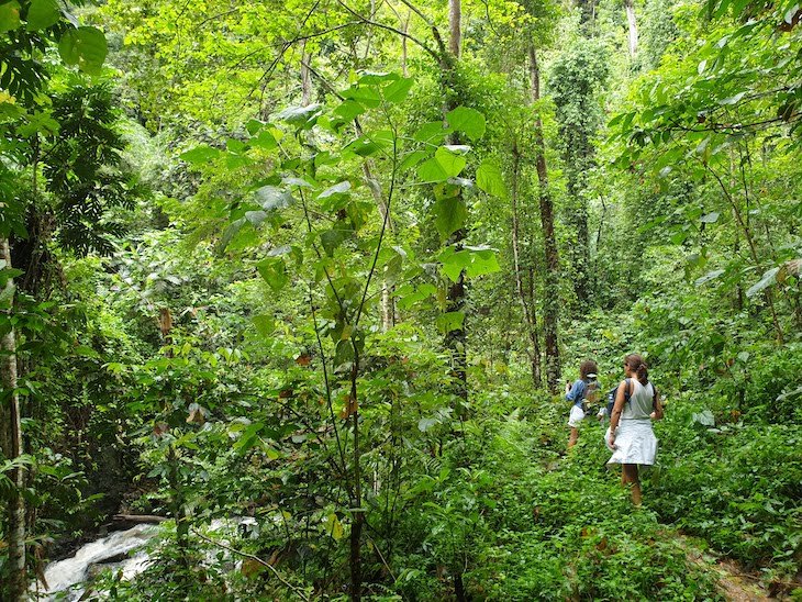 Parque Natural Obô - São Tomé e Príncipe © Viaje Comigo