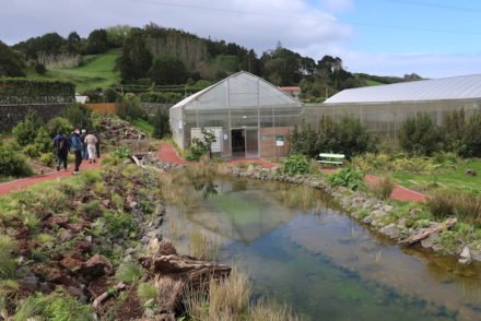 Jardim Botânico do Faial - Açores © Viaje Comigo