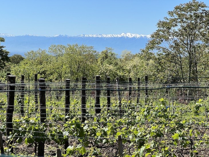 Chateau Chikovani - Zeda Gordi - Georgia © Viaje Comigo