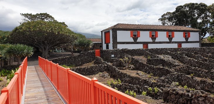 Museu Vinho do Pico - Açores © Viaje Comigo
