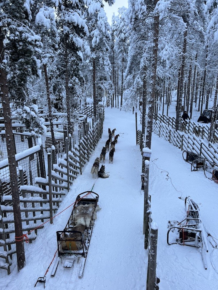 Husky Park - Aldeia do Pai Natal - Rovaniemi - Lapónia - Finlândia © Viaje Comigo