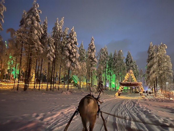 Passeio com renas - Aldeia do Pai Natal - Rovaniemi - Lapónia - Finlândia © Viaje Comigo