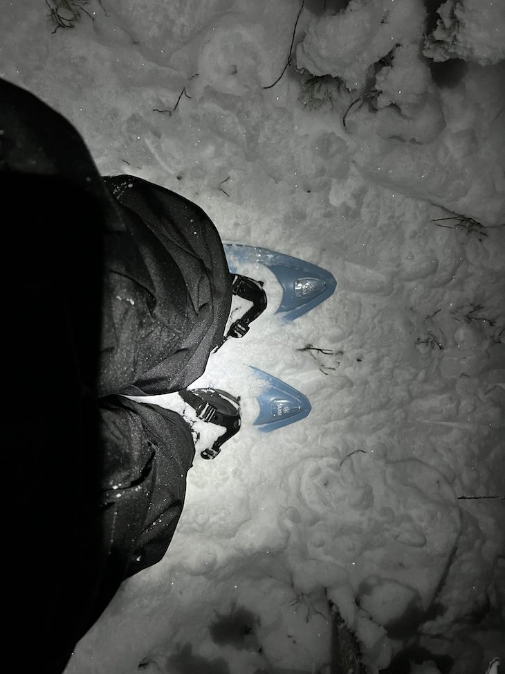 Snowshoeing com a Nordic Odyssey - Lapónia - Finlândia © Viaje Comigo