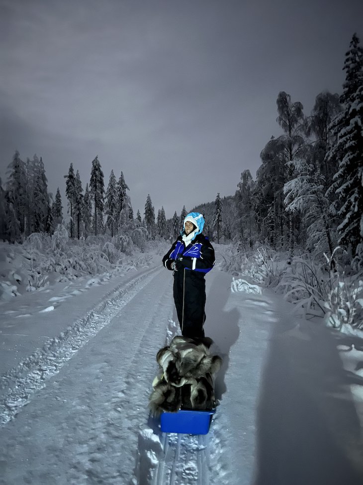 À procura da Aurora Boreal com a Nordic Odyssey - Rovaniemi - Finlandia © Viaje Comigo