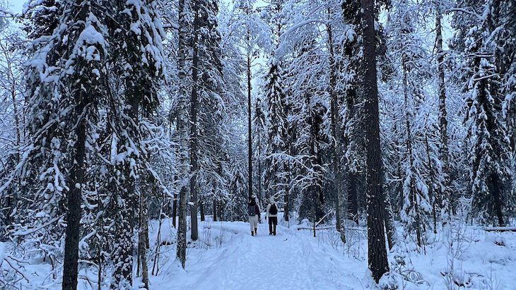 Parque Vaattunkiköngäs - Napapiirin Retkeilyalue - Laponia - Finlandia © Viaje Comigo