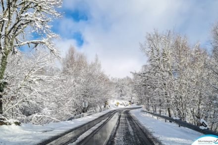 Montalegre (Neve - 18 janeiro 2023) (18)