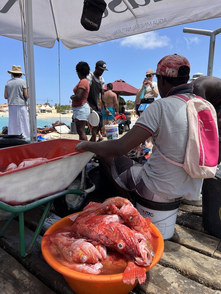 Peixes no pontão de Santa Maria - Ilha do Sal - Cabo Verde © Viaje Comigo
