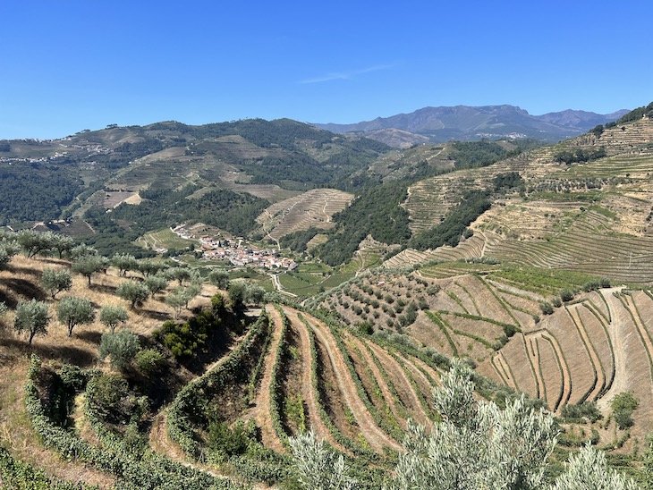 Douro Vinhateiro - Portugal © Viaje Comigo