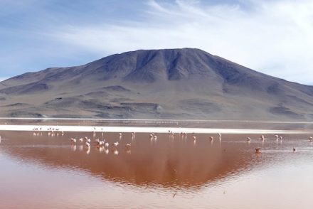 Laguna Colorada - Bolivia ©Kaniri:Pixabay